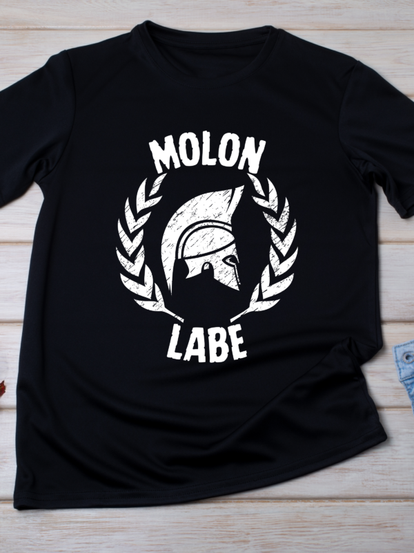 Molon Labe – Spartan Helmet Battle Ready Tee Classic T-Shirt - Image 3